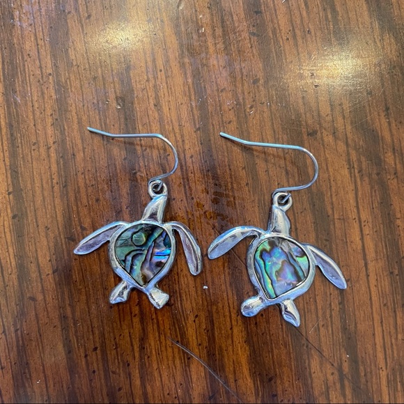 ‼️SOLD‼️Silver Geometric Rainbow Turtle Earrings - Picture 1 of 4